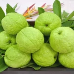 ఈ పండును మీరు తింటున్నారా..?