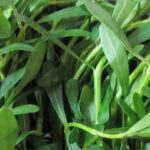 మగవాళ్లకు మాత్రమే..ఆ సమస్యకు చెక్ పెట్టండిలా..!